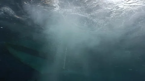 Man diving into very clear ocean Stock Footage 276363793