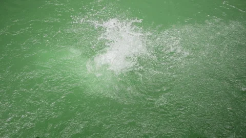 Man Diving Into Vibrant Green Water with Dramatic Splash in Slow Motion. Stock Footage 338378042