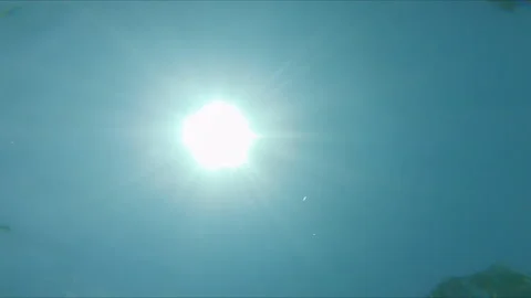 Man diving into water camera under the surface Stock Footage 165608538