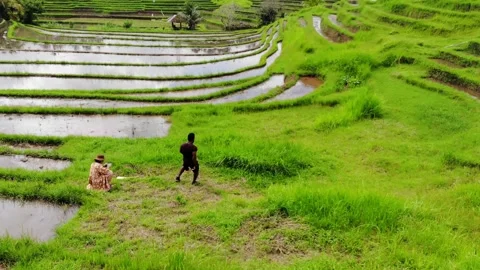Man Does Flip in Bali Rice Field in Slow Motion, 2.7K 60 FPS Stock Footage 146563861
