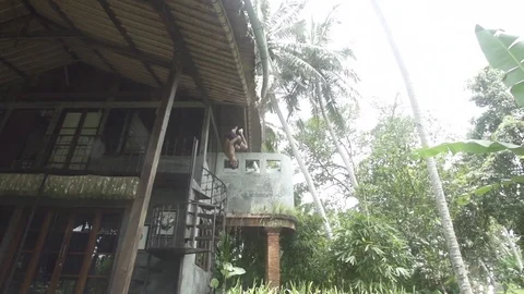 Man Does Flip from Hotel into Pool Bali Slow Motion Stock Footage 106783505
