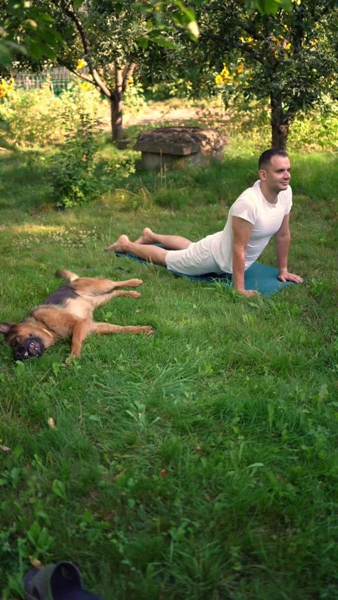 A man does somatic exercises with his dog in the garden in the morning Stock Footage 279248715