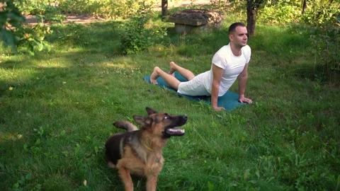 A man does somatic exercises with his dog in the garden in the morning Stock Footage 279249102