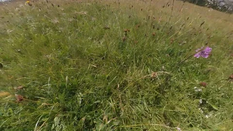 A Man does Trek on an open wide vale between Alps, vr360 effects Stock Footage 114423891