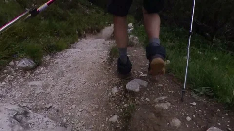 A Man does Trek on an path between Alpine forest, vr360 effects, cloudy summer Stock Footage 114075610