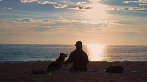 Man with Dog on Atlantic Beach at Sunset Vídeo Stock 341423876