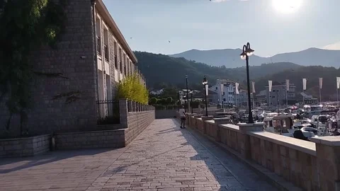 Man with dog on the beach Stock-Footage 206302925