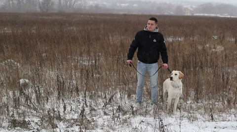 Man with a dog in the field Video stock 33471789