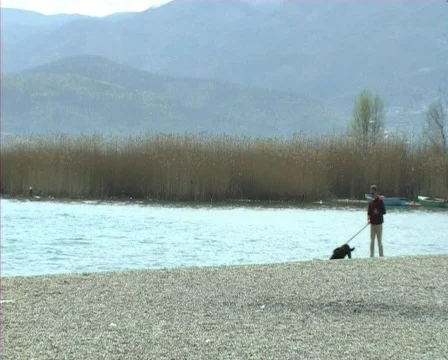 Man with a dog  Video stock 708049