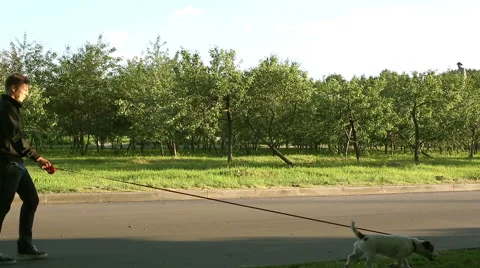 The man with the dog. Stock Footage 51330618