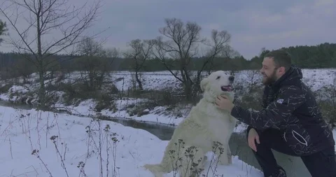 Man with a dog. Stock Footage 124016375