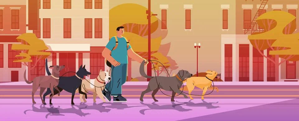 Man dog handler walks with pets in urban park best friends domestic animals Ilustración de archivo