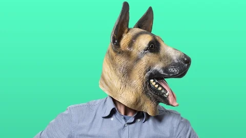 Man in Dog Mask Stop Motion Poses 2 Stock Footage 112713333