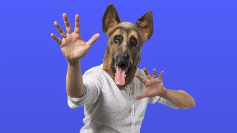 Man in Dog Mask Stop Motion Poses 3 Stock Footage 112713870