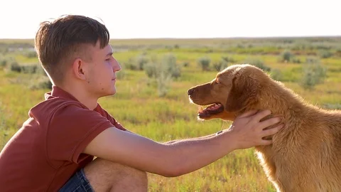 Man with a dog in the meadow at sunset Stock Footage 89865191