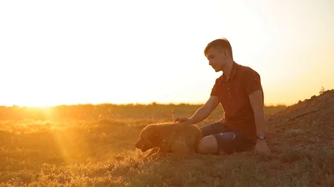 Man with a dog in the meadow at sunset Stock Footage 89929638