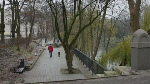 Man with dog in the park 스톡 동영상 83092789