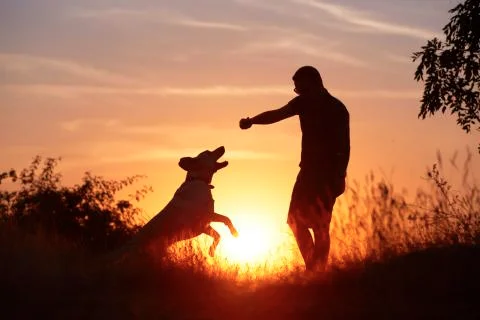 Man with dog Stock Photos