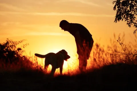 Man with dog Stock-Fotos