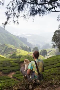 Man with dog Stock Photos