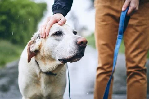 Man with dog in rain Stock Photos