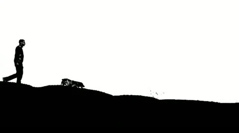 Man with dog at sunset Stock Footage 21436661
