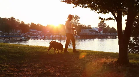 Man with dog at sunset Stock Footage 30684947