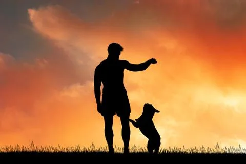 Man with dog at sunset Stock Illustration