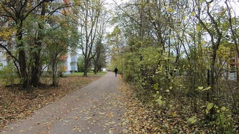 A man with a dog is walking along a path through a park in Munich. Fallen yellow 스톡 동영상 119855762