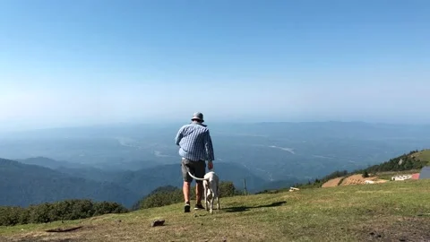 Man With Dog Walking on the Mountain Stock Footage 143172663