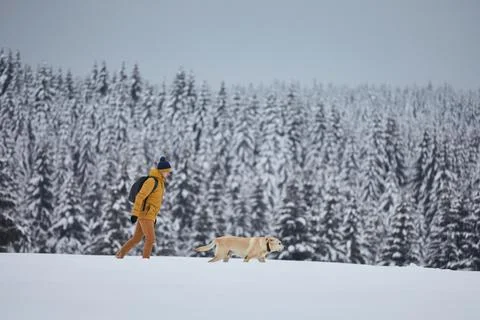 Man with dog walking in snow against forest Stock-Fotos