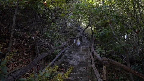 Man with dog walks down old rock stairs on hike path Stock Footage 74070460