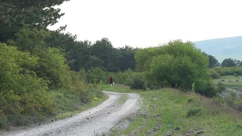 Man with the dog walks in the forest Video stock 76230330