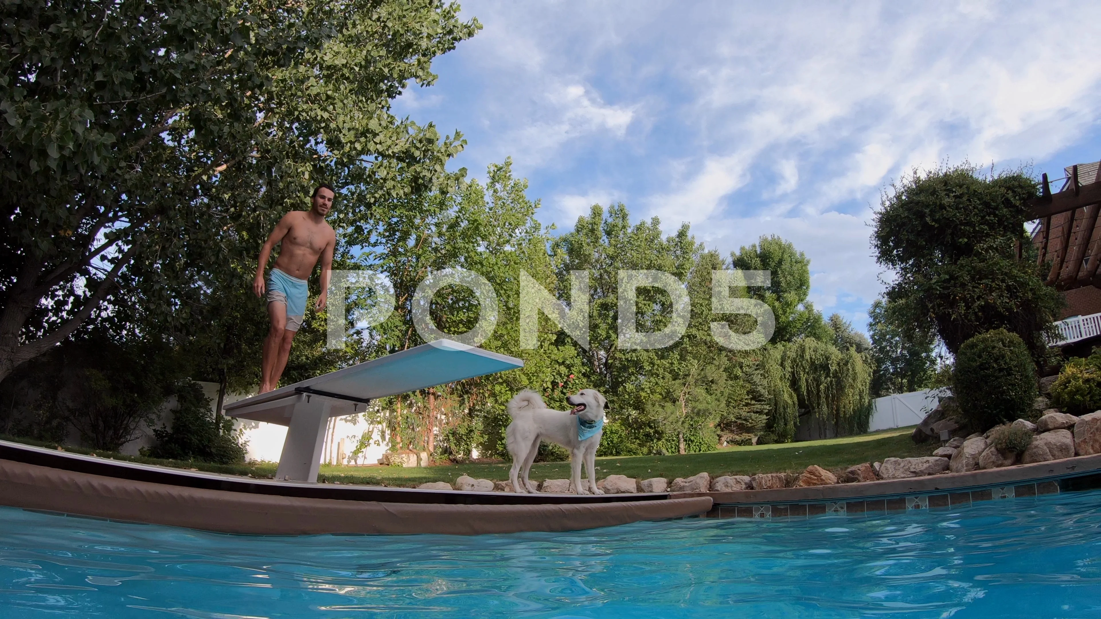 Man Doing Back Flip Gainer Into Pool As Stock Video Pond5