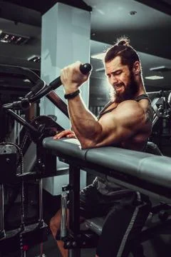Man Doing Heavy Weight Exercise For Biceps On Machine In A Gym Stock Photos