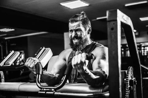 Man Doing Heavy Weight Exercise For Biceps On Machine In A Gym Stock Photos