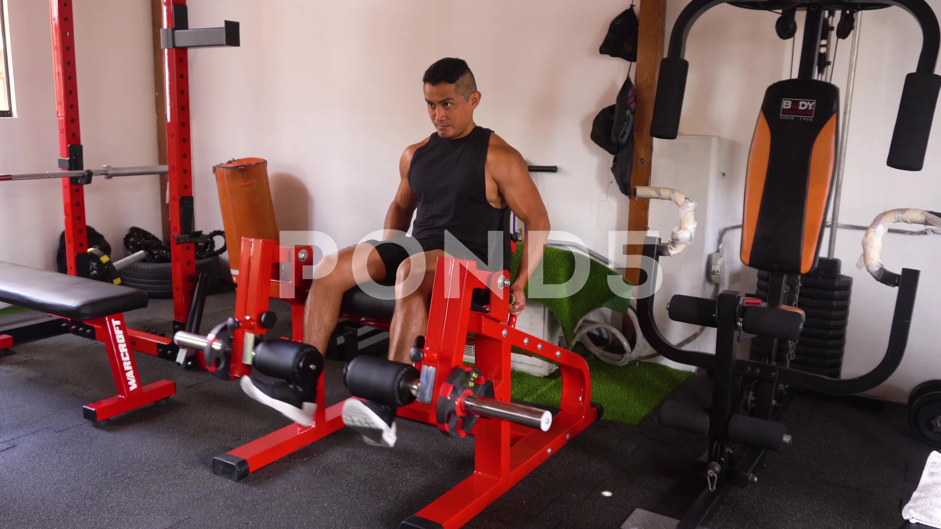 Featured image of post Leg Extension Machine Cartoon