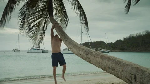 Man doing pull-ups hanging from palm tree at ocean beach / Salt Whistle Bay, Vidéo 114765159