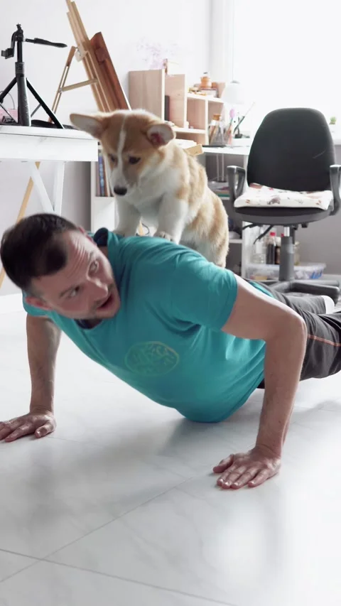 Man doing push-ups with Pembroke Welsh Corgi puppy, fun home workout. Stock Footage 334844276