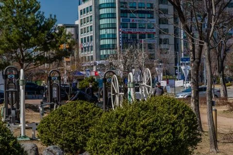 Man doing pushups outside. Stock Photos