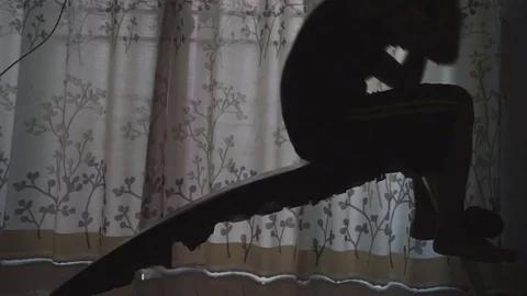 Man doing sit-ups and sweating in room Stock-Footage 74607042