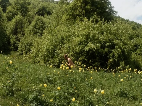 Man doing something sitting in yellow flowers in a forest on green grass overall Stock Footage 77754573