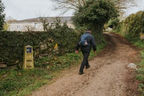 Man doing trekking in a forest route. Stock Photos