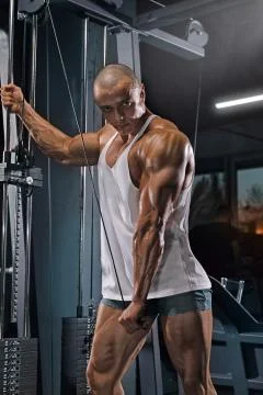 Man doing triceps exercise in the simulator Stock Photos