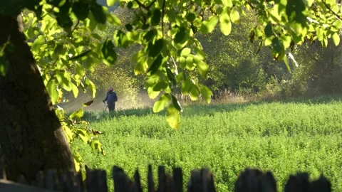 Man Doing Yard Work and Trimming Tall Grass. Slow Motion. Stock Footage 321807605