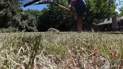 Man doing yard work. Raking up loose grass side. Front view Stock Footage 201021969