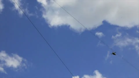 Man doing zip line Stock Footage 28940437