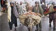 Man With Donkey Afghanistan Kabul 1980S Vintage Film Home Movie 7210 Stock Footage