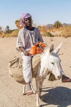 Man on the donkey. Foto stock