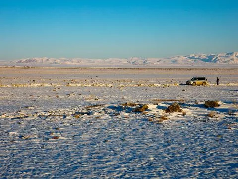 A man in a down jacket and SUV stand on the snowy alpine Chui steppe. In the Stock Photos